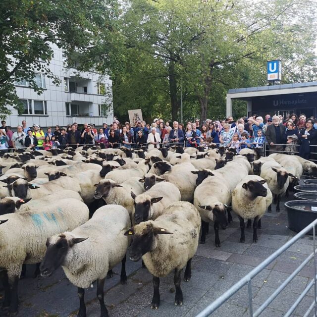 2019-09-15_22_36_44-1