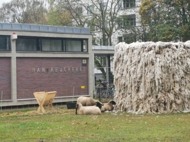 img_20191008_162933_resized_20191009_092852137