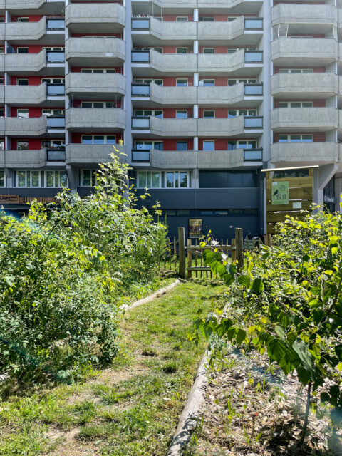 Gertraudenhain_Mai 25_2