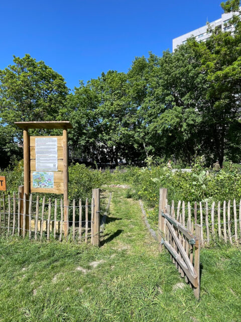 Gertraudenhain_Mai 25_3